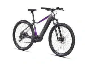 CRUSSIS e-Fionna 9.10 (720Wh)